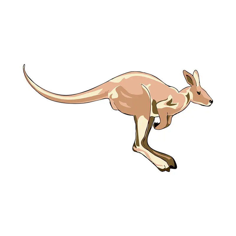Kangaroo Sublimation