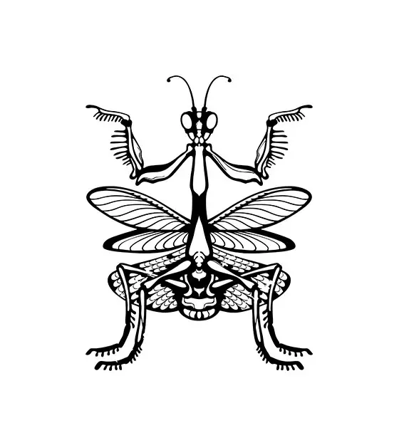 Camouflaged Flower Mantis Silhouette Art