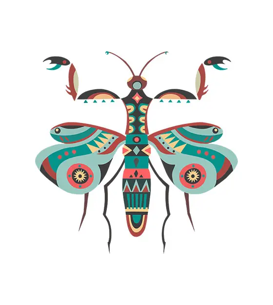 Giant African Devil Mantis Vector Art