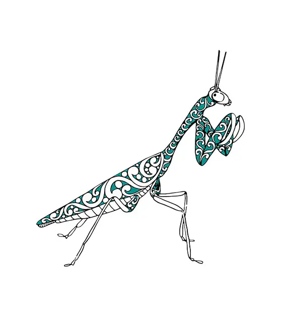 Mantis Insect Mandala Vector Art