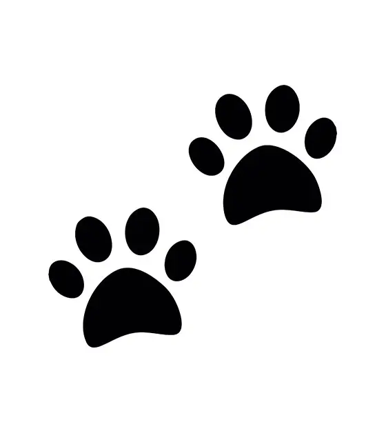 Dog Paw Silhouette