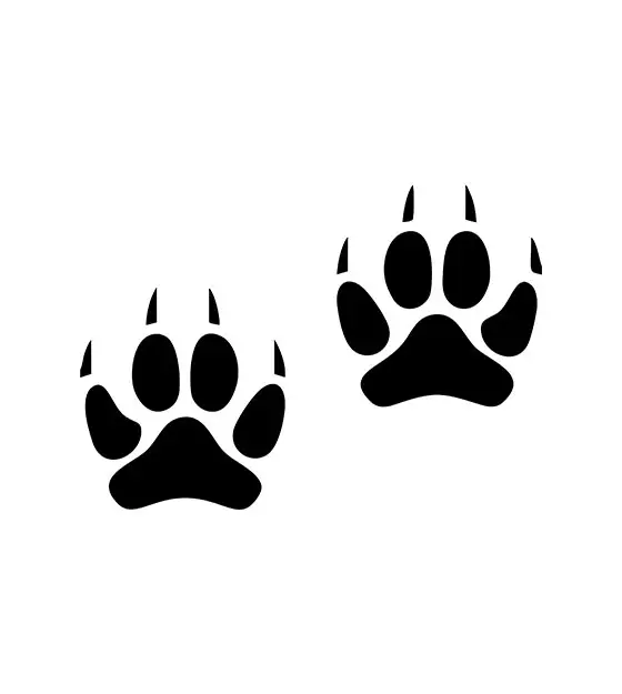 Bear Paw Silhouette