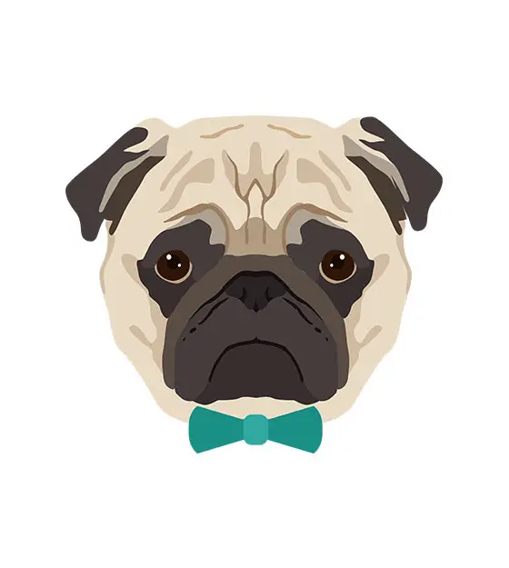 Pug Face Vector – Dog