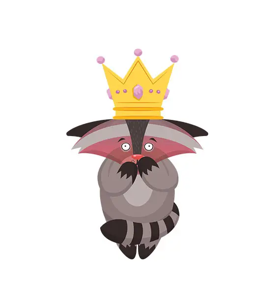 Pink Face Raccoon Vector