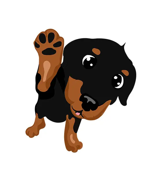 Rottweiler Puppy Vector – Cute