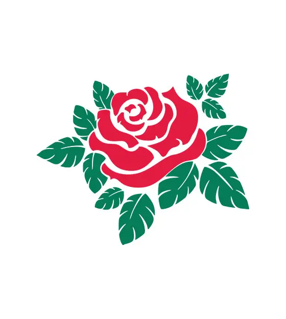 Rose and Leaves Vector