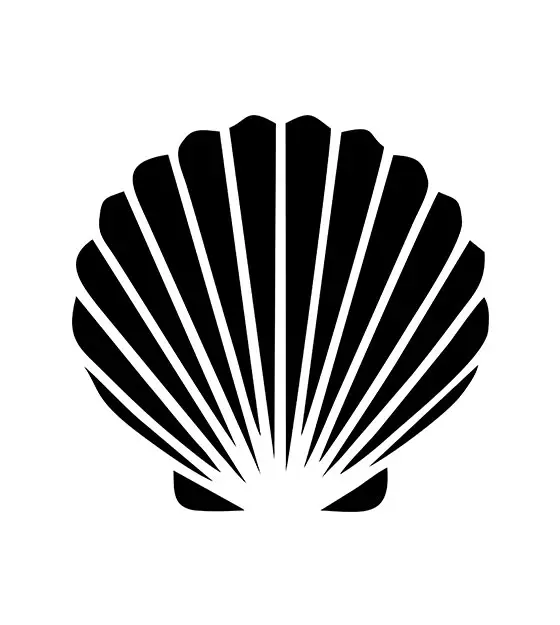 Seashell Stencil Art