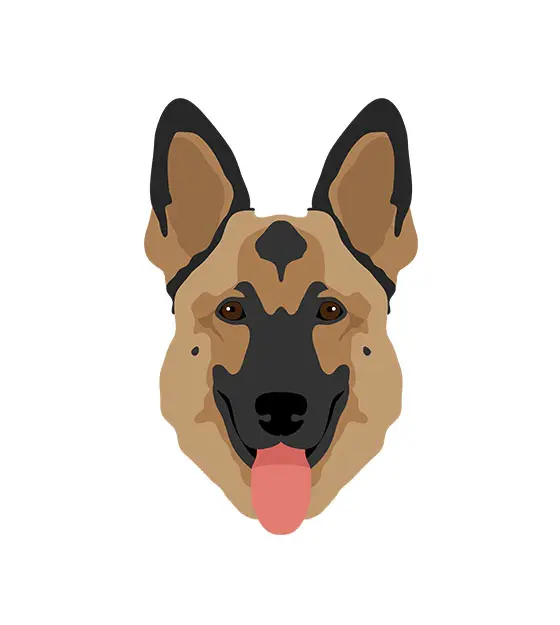 German Shepherd Face Vector