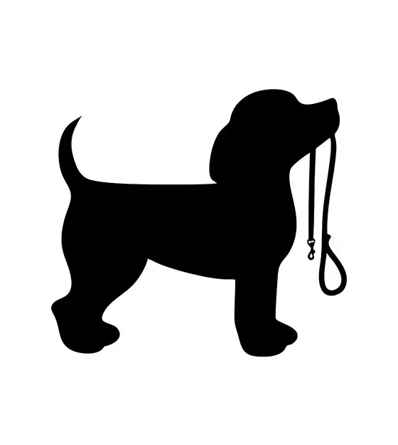 Spaniel Silhouette