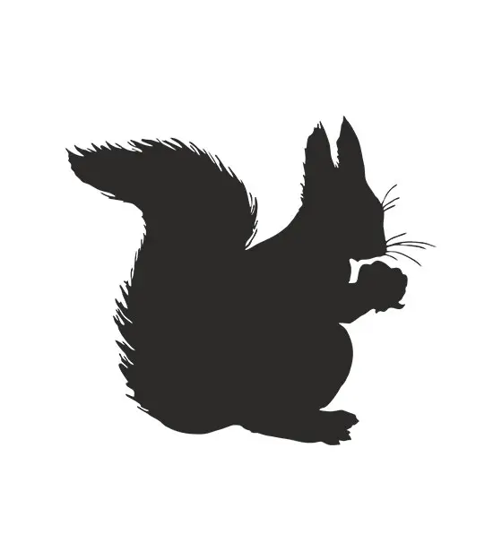 Squirrel Silhouette