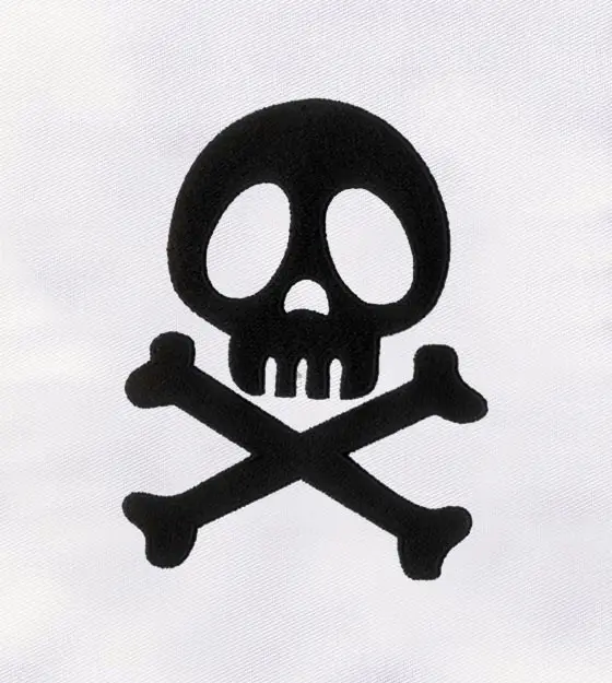 Skull & Crossbones Embroidery Design