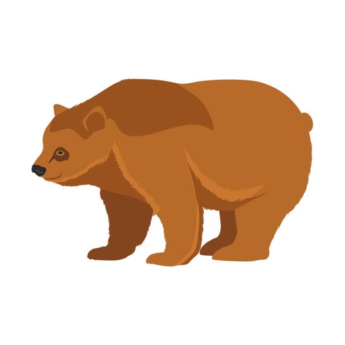 Grizzly Bear Vector Art